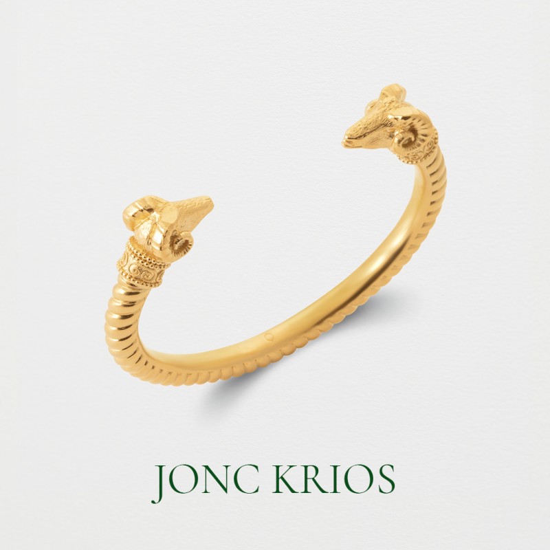 Trouver des joncs têtes de bélier